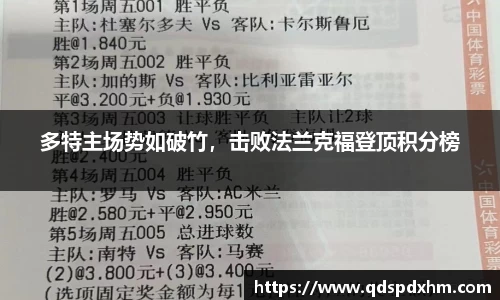 多特主场势如破竹，击败法兰克福登顶积分榜