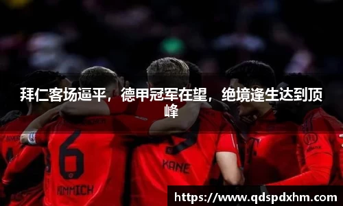 hb火博体育